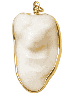 Colgante Hueso Corvina Cerco de Oro - Oro Amarillo 18K