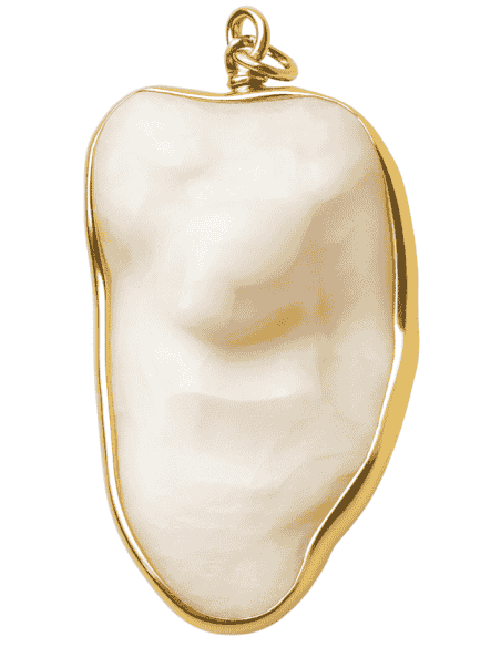 Colgante Hueso Corvina Cerco de Oro - Oro Amarillo 18K