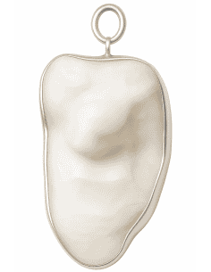 Colgante Hueso Corvina Cerco de Plata - Plata 925