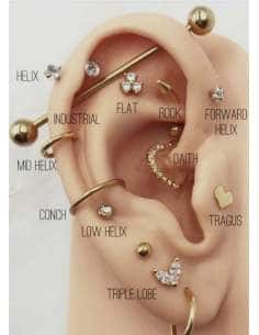 Servicio de Puesta Piercing en la Oreja con Ajuga –...