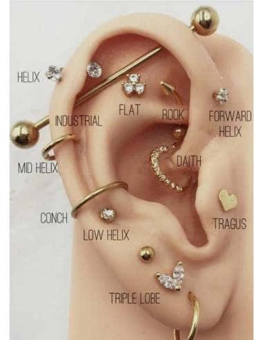 Servicio de Puesta Piercing en la Oreja con...