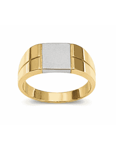 Sello para caballero Hueco - Oro Amarillo y Blanco 18K