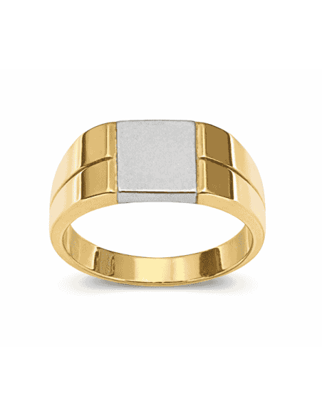 Sello para caballero Hueco - Oro Amarillo y Blanco 18K
