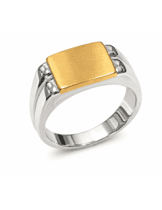 Sello para caballero Hueco Bicolor - Oro amarillo y Blanco 18K