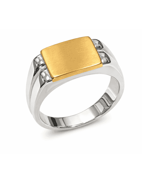 Sello para caballero Hueco Bicolor - Oro amarillo y Blanco 18K