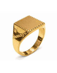 Sello para caballero cabeza Maciza - Oro amarillo 18K