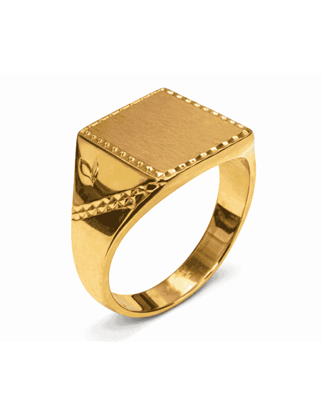Sello para caballero cabeza Maciza - Oro amarillo 18K