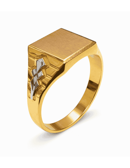 Sello para Caballero Hueco - Oro Amarillo y Blanco 18K