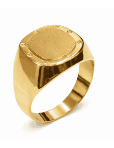 Sello Oval para Caballero Hueco - Oro Amarillo 18K
