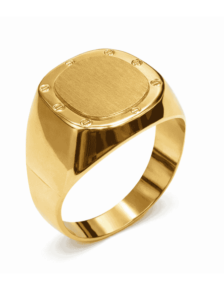 Sello Oval para Caballero Hueco - Oro Amarillo 18K
