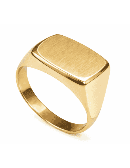 Sello Rectangular para Caballero Hueco - Oro Amarillo 18K