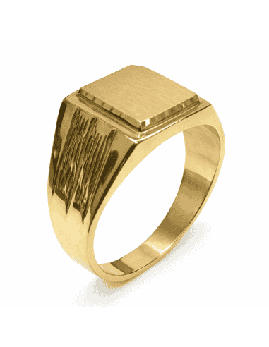 Sello de Oro para caballero Hueco- Oro Amarillo 18k