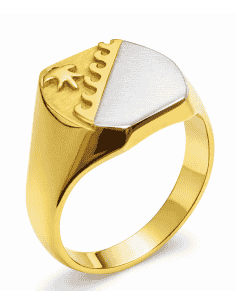Sello Oval Bicolor  para Caballero - Oro Amarillo y Blanco 18K