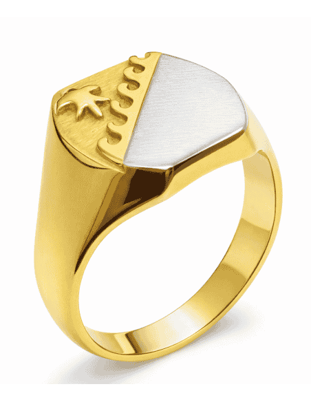 Sello Oval Bicolor  para Caballero - Oro Amarillo y Blanco 18K