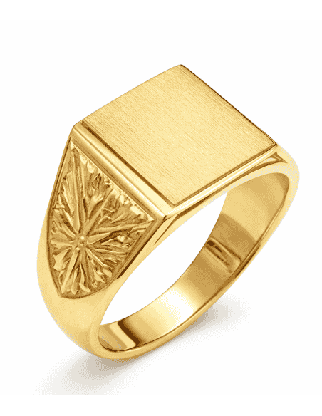 Sello para caballero Hueco - Oro amarillo 18K