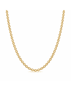 Cadena Caballero eslabón Rolo - Oro amarillo 18k