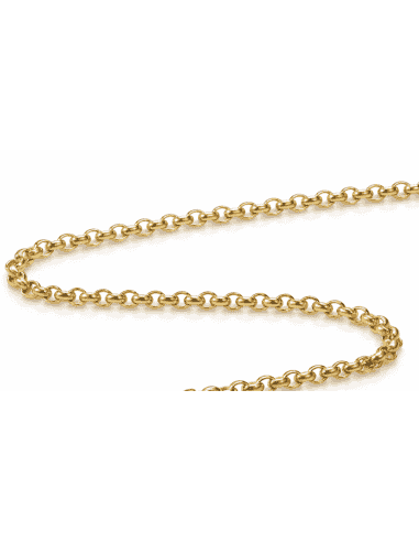 Cadena Caballero eslabón Rolo - Oro amarillo 18k