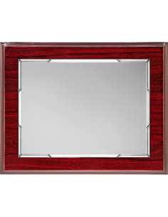 Placa Homenaje Marco Elegante - P-2134 ( Grabado Incluido)